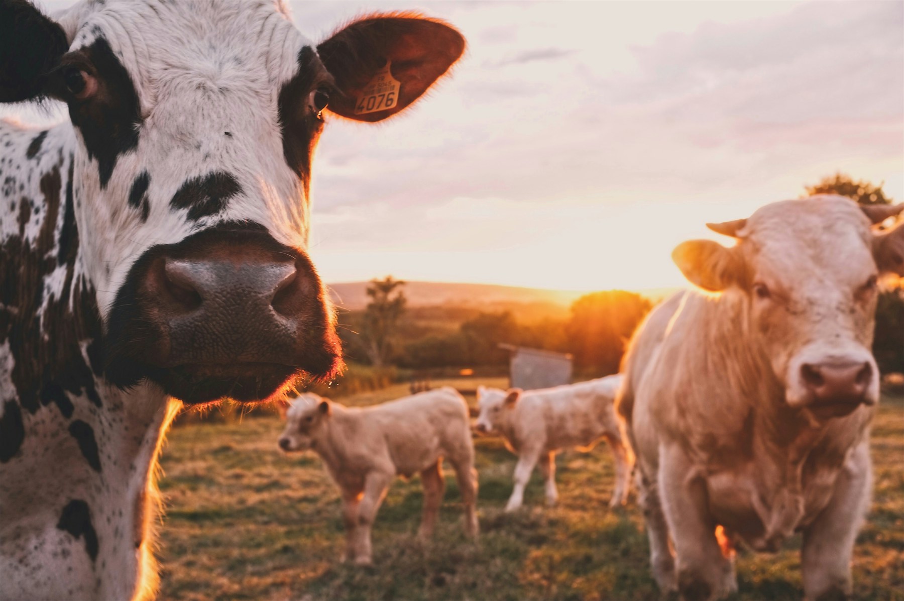 Connected smart agriculture