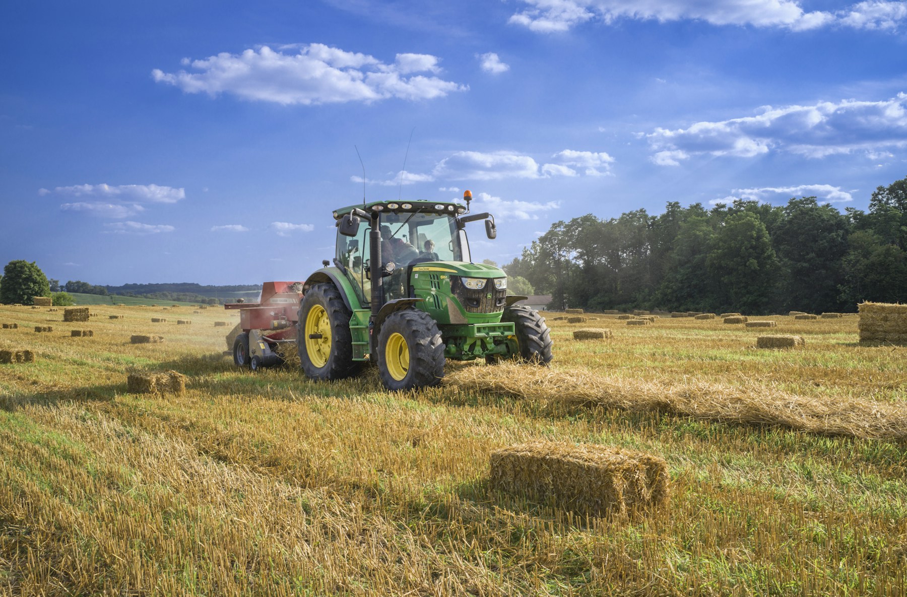 African farmer in a field